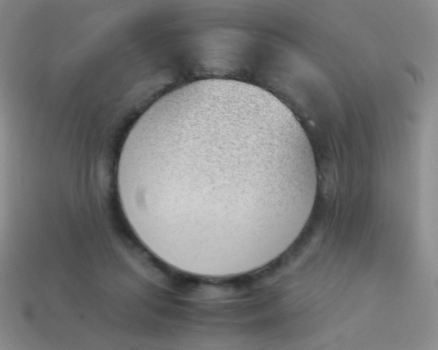 X0000114230455200910231507