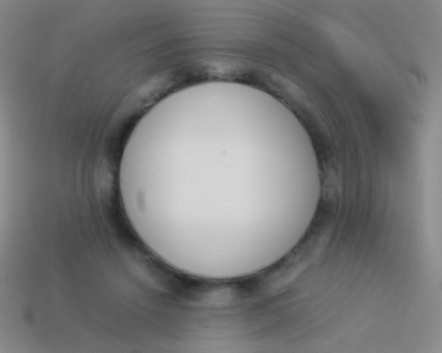 X0000114230456200910231507