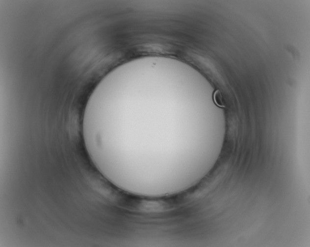 X0000114230457200910231507