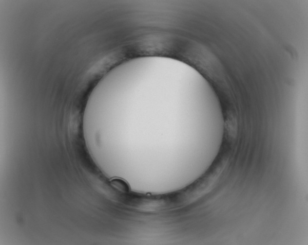 X0000114230458200910231507