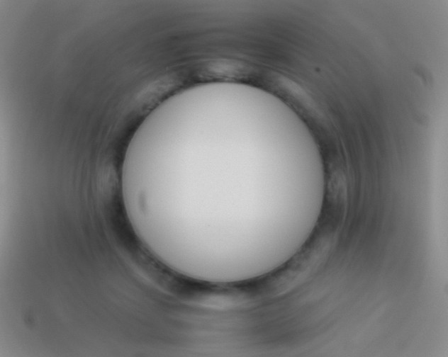 X0000114230459200910231507