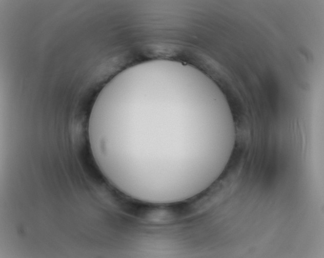 X0000114230460200910231507