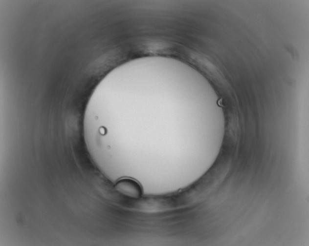 X0000114230461200910231507