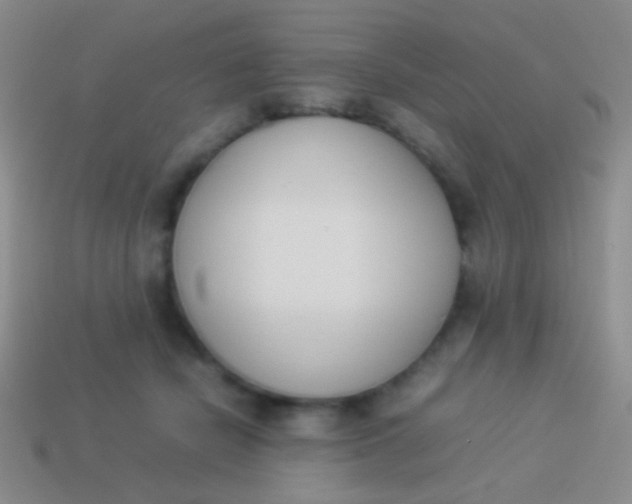 X0000114230462200910231507