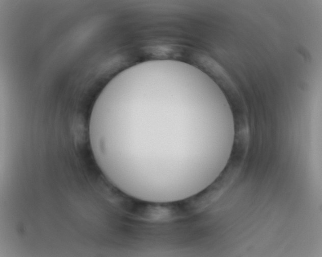 X0000114230469200910231507