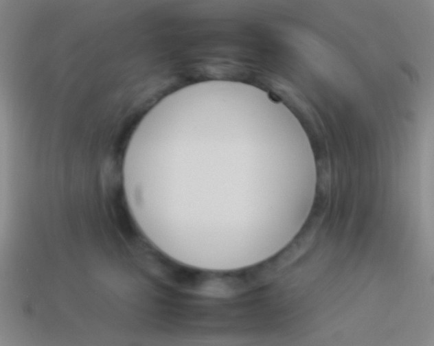 X0000114230471200910231507
