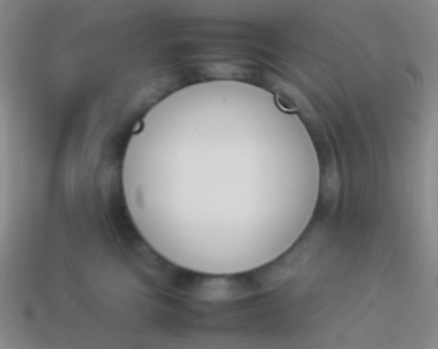 X0000114230473200910231507