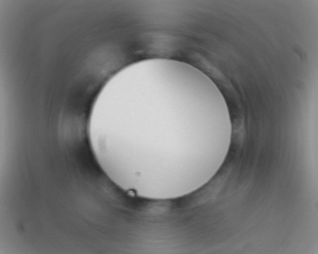 X0000114230474200910231507
