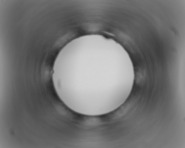 X0000114230476200910231507