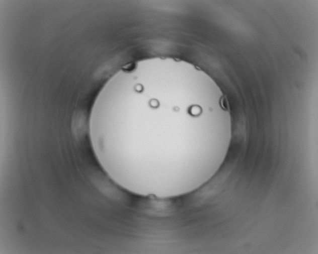 X0000114230478200910231507