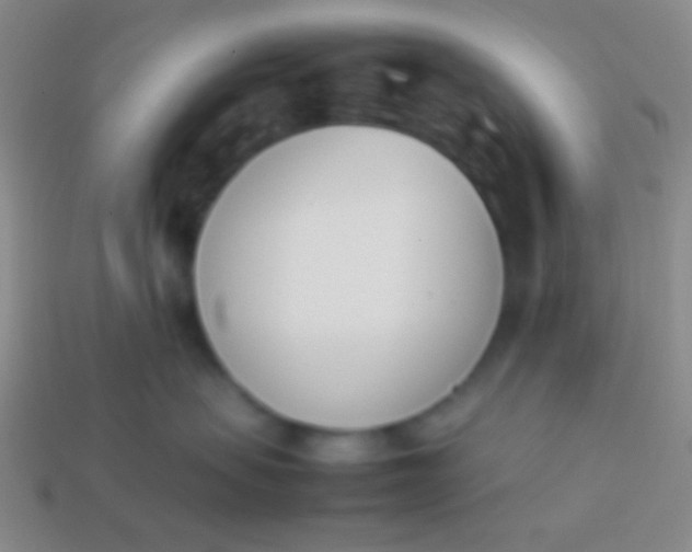 X0000114230479200910231507