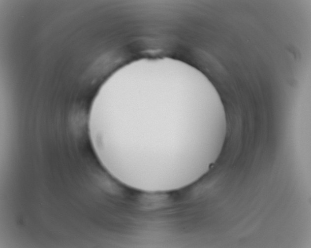 X0000114230480200910231507