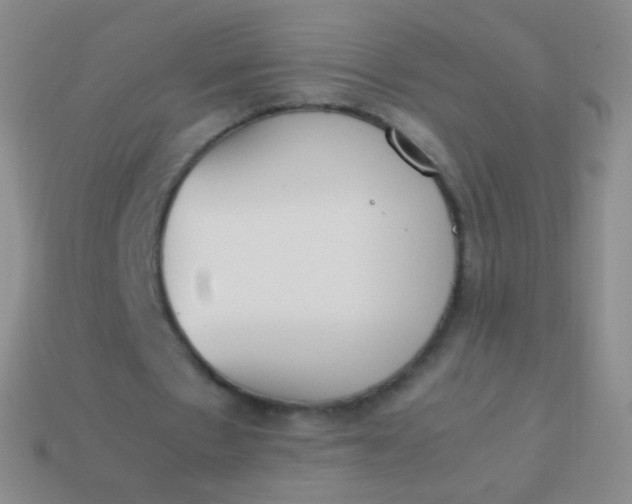 X0000114230481200910231507