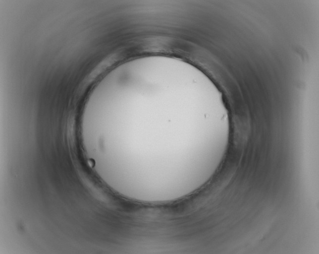 X0000114230482200910231507