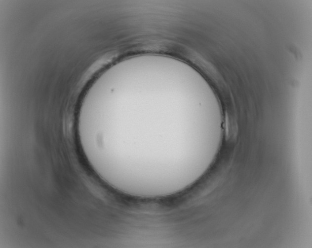 X0000114230483200910231507
