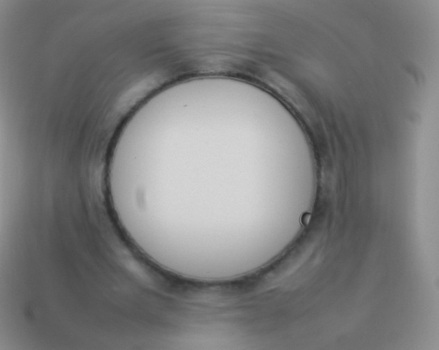 X0000114230485200910231507