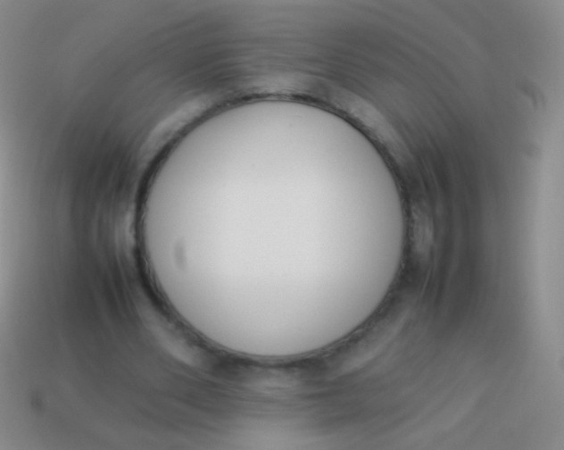X0000114230486200910231507