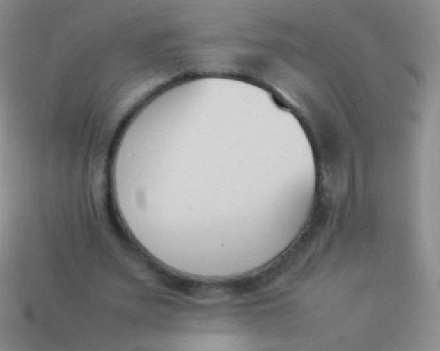 X0000114230487200910231507