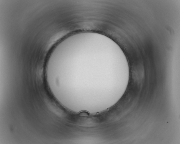 X0000114230488200910231507