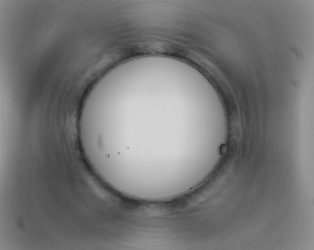 X0000114230489200910231507