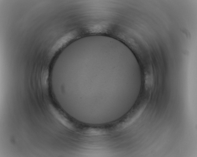 X0000114230490200910231507