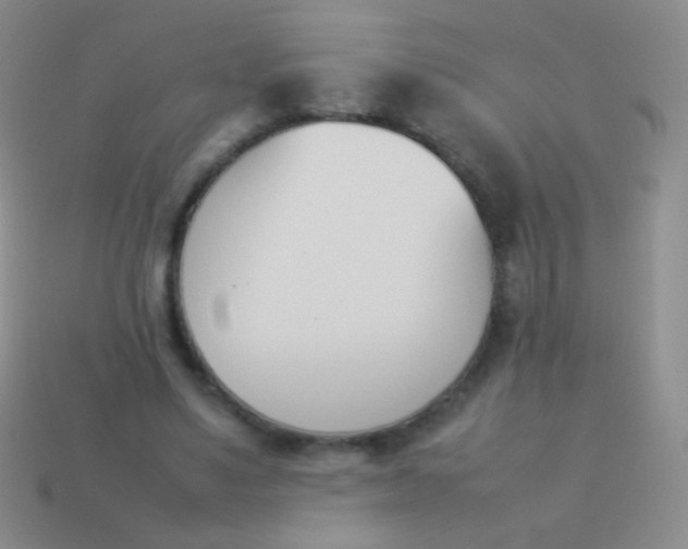 X0000114230491200910231507