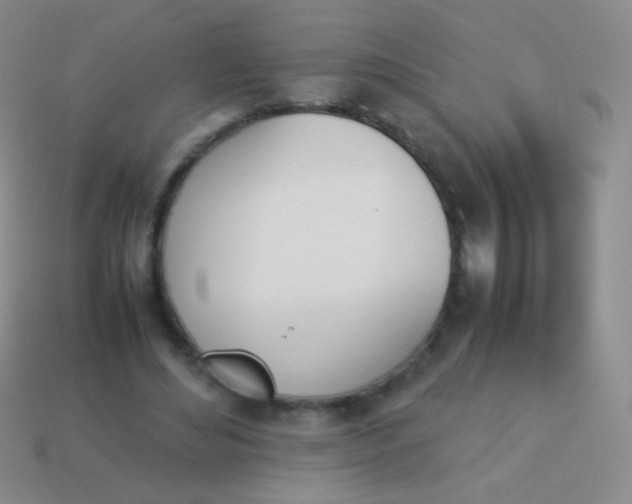 X0000114230492200910231507