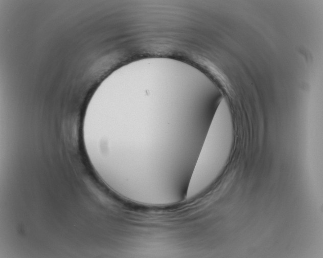 X0000114230493200910231507