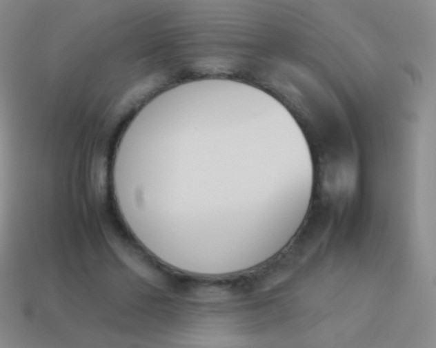 X0000114230494200910231506