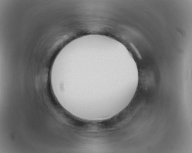 X0000114230495200910231506