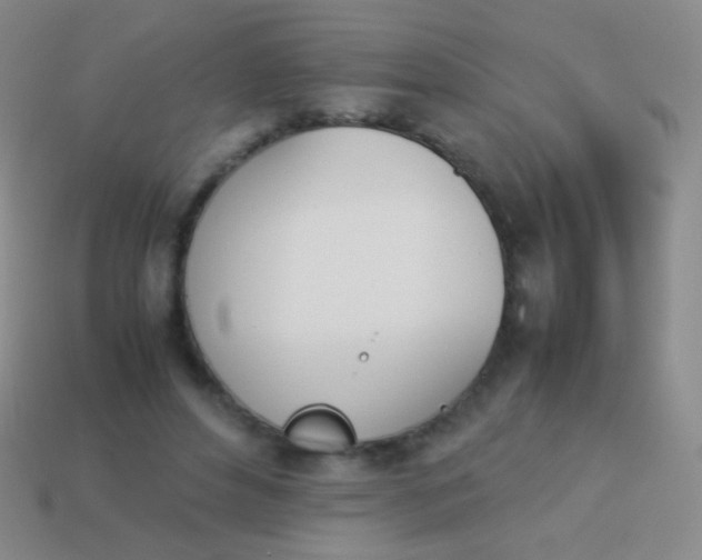 X0000114230496200910231506