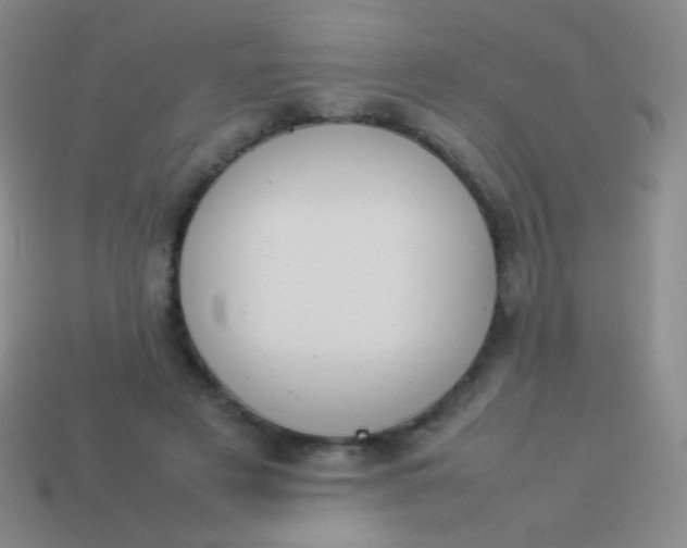 X0000114230497200910231506