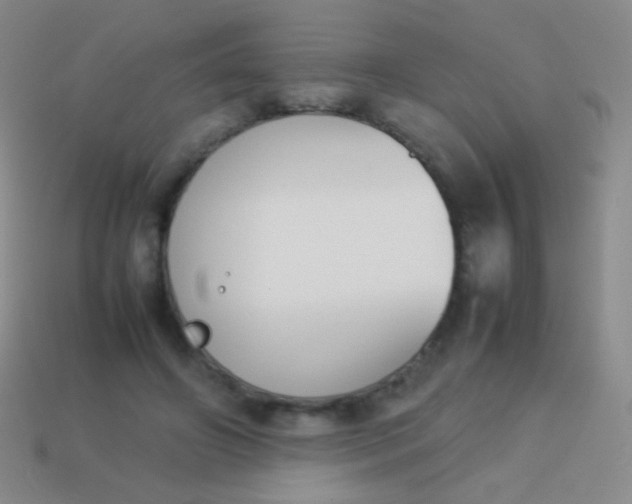 X0000114230498200910231506