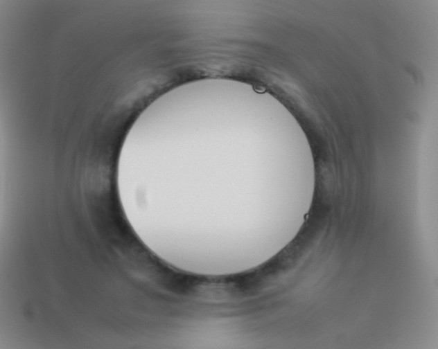 X0000114230499200910231506