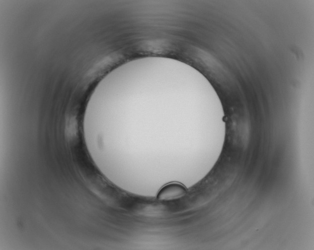 X0000114230500200910231506