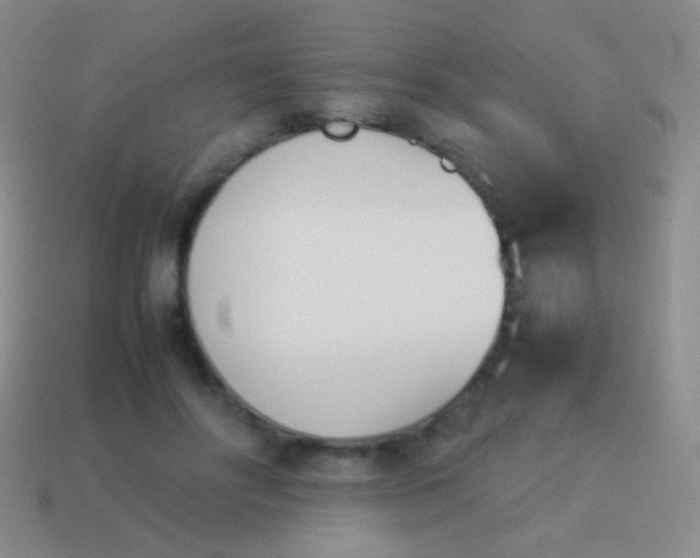 X0000114230502200910231506