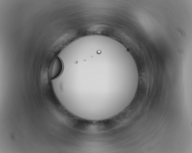 X0000114230504200910231506