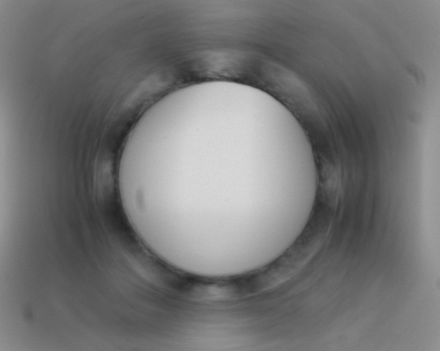X0000114230506200910231506