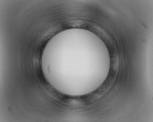 X0000114230510200910231506