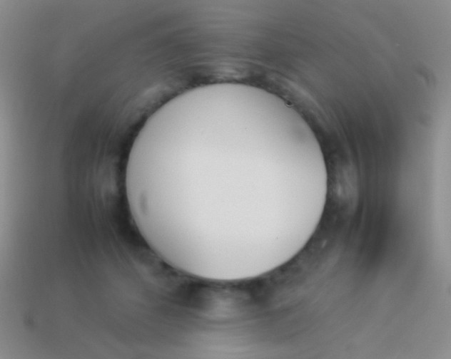 X0000114230512200910231506