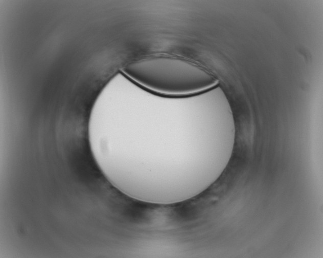 X0000114230513200910231506