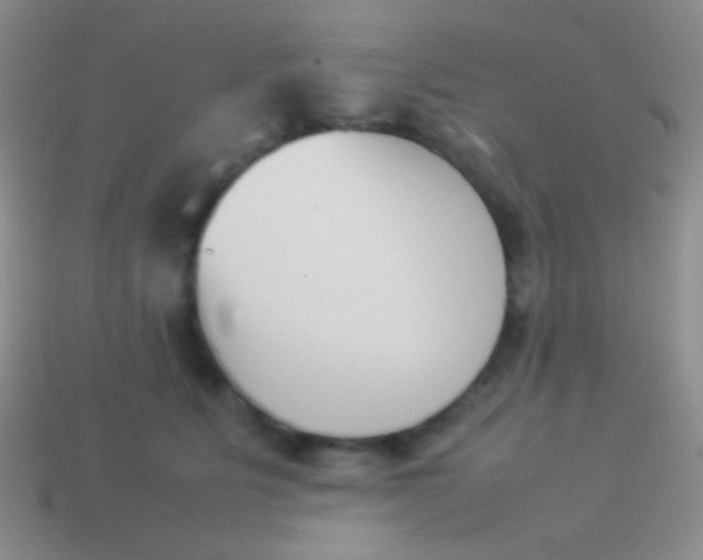 X0000114230515200910231506