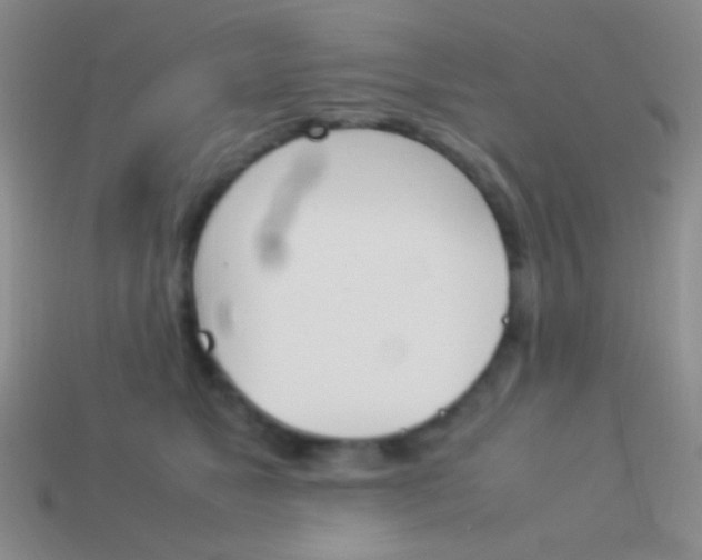 X0000114230517200910231506
