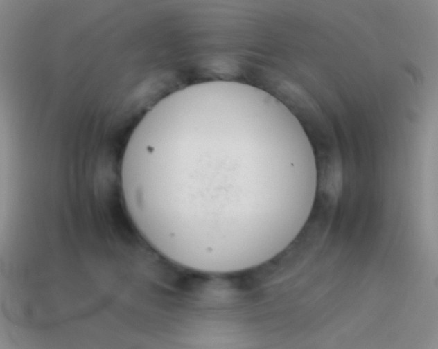 X0000114230518200910231506