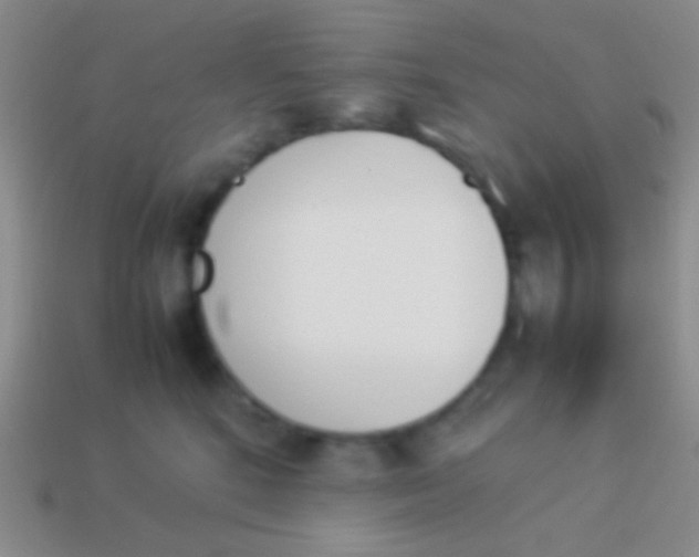 X0000114230520200910231506