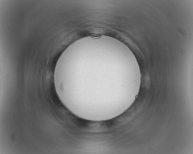 X0000114230521200910231506