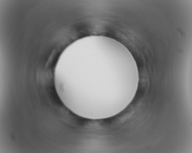 X0000114230523200910231506