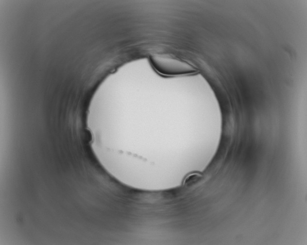 X0000114230524200910231506