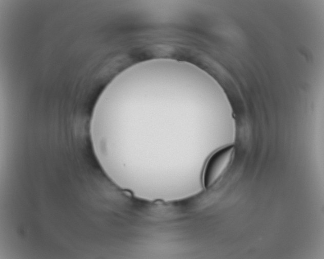 X0000114230525200910231506