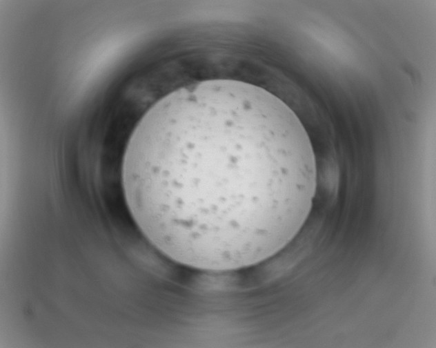 X0000114230526200910231506